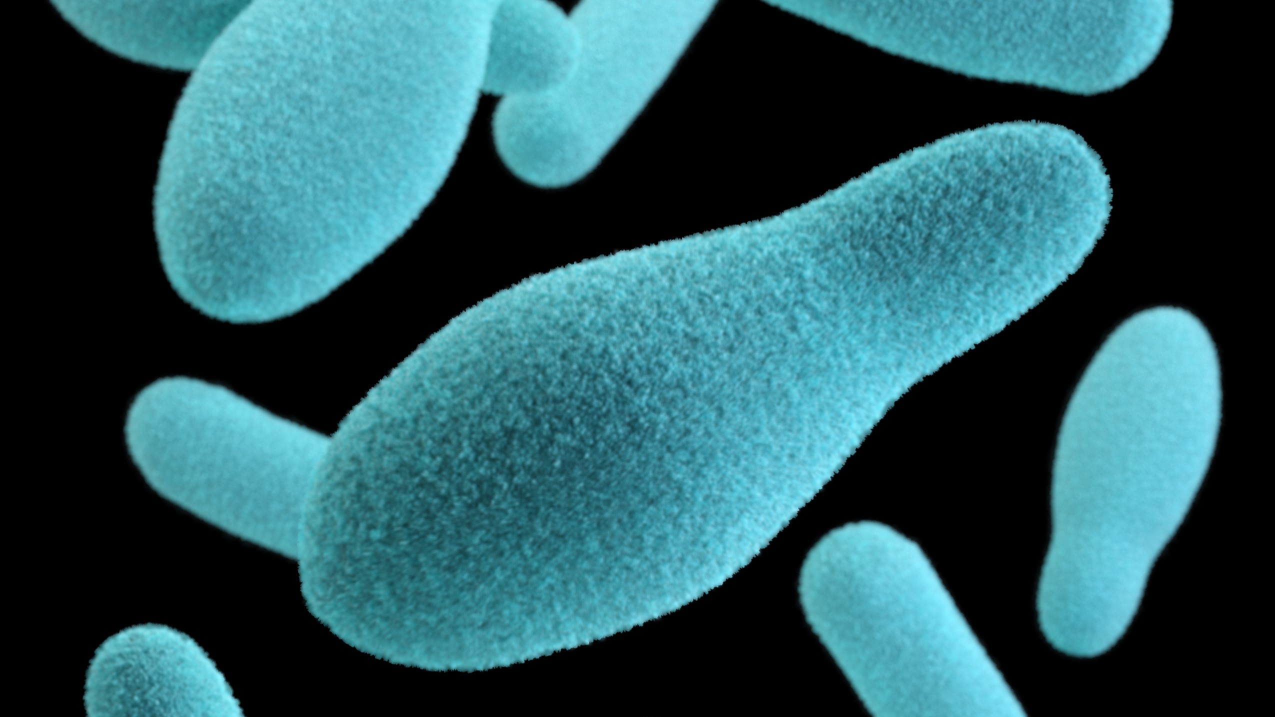 Clostridium botulinum